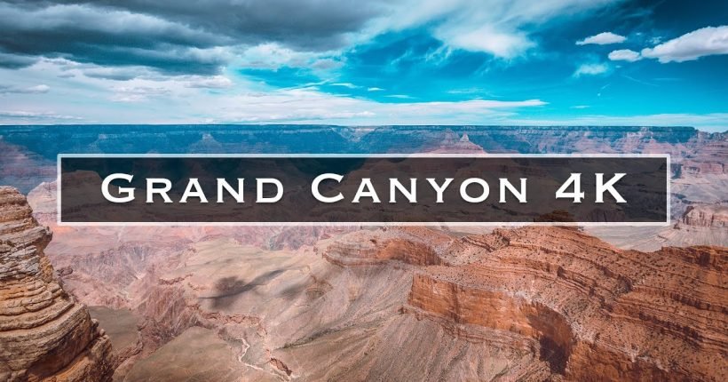 The 7 biggest lizards mistakes you can easily avoid